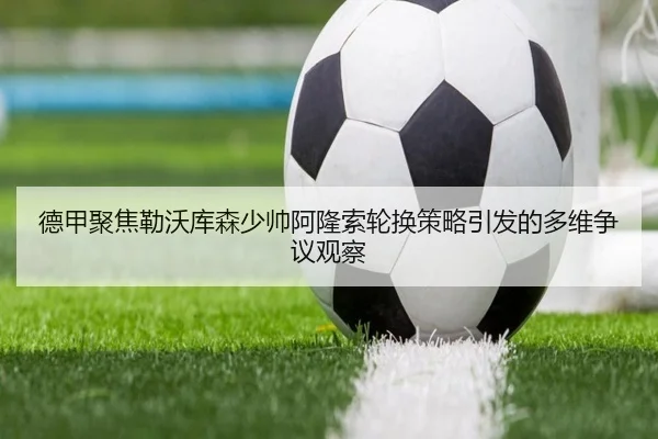 de-jia-ju-jiao-lei-wo-ku-sen-shao-shuai-a-long-suo-lun-huan-ce-lve-yin-fa-de-duo-wei-zheng-yi-guan-cha-3-373.jpg