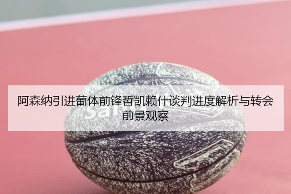 阿森纳引进葡体前锋哲凯赖什谈判进度解析与转会前景观察