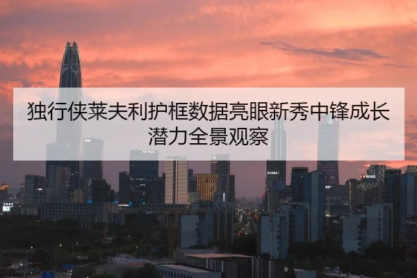 独行侠莱夫利护框数据亮眼新秀中锋成长潜力全景观察
